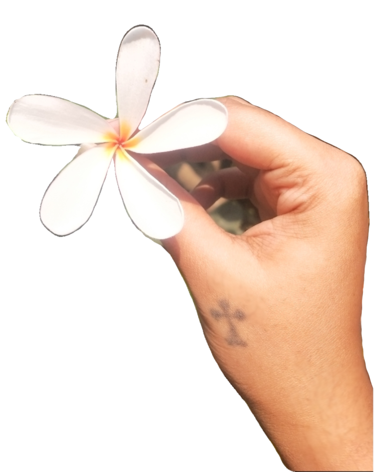flower final